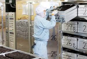 火入れ～再乾燥