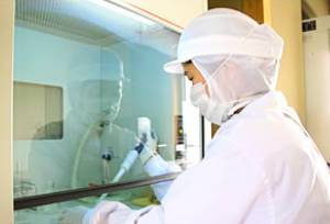 細菌検査による安全管理