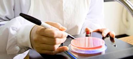 安全管理に至るまですべての工程を自社で管理